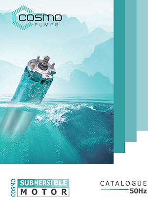 Submersible Water Motors